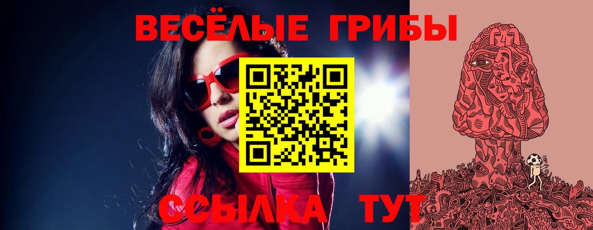 Псилоцибиновые грибы Psilocybe Георгиевск